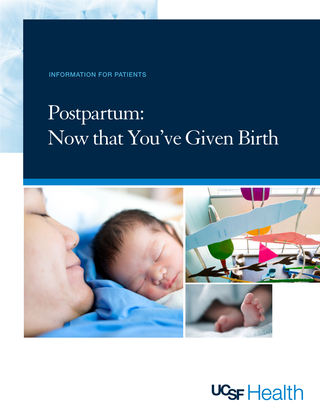Postpartum: Now That You’Ve Given Birth Women’S Health Matters