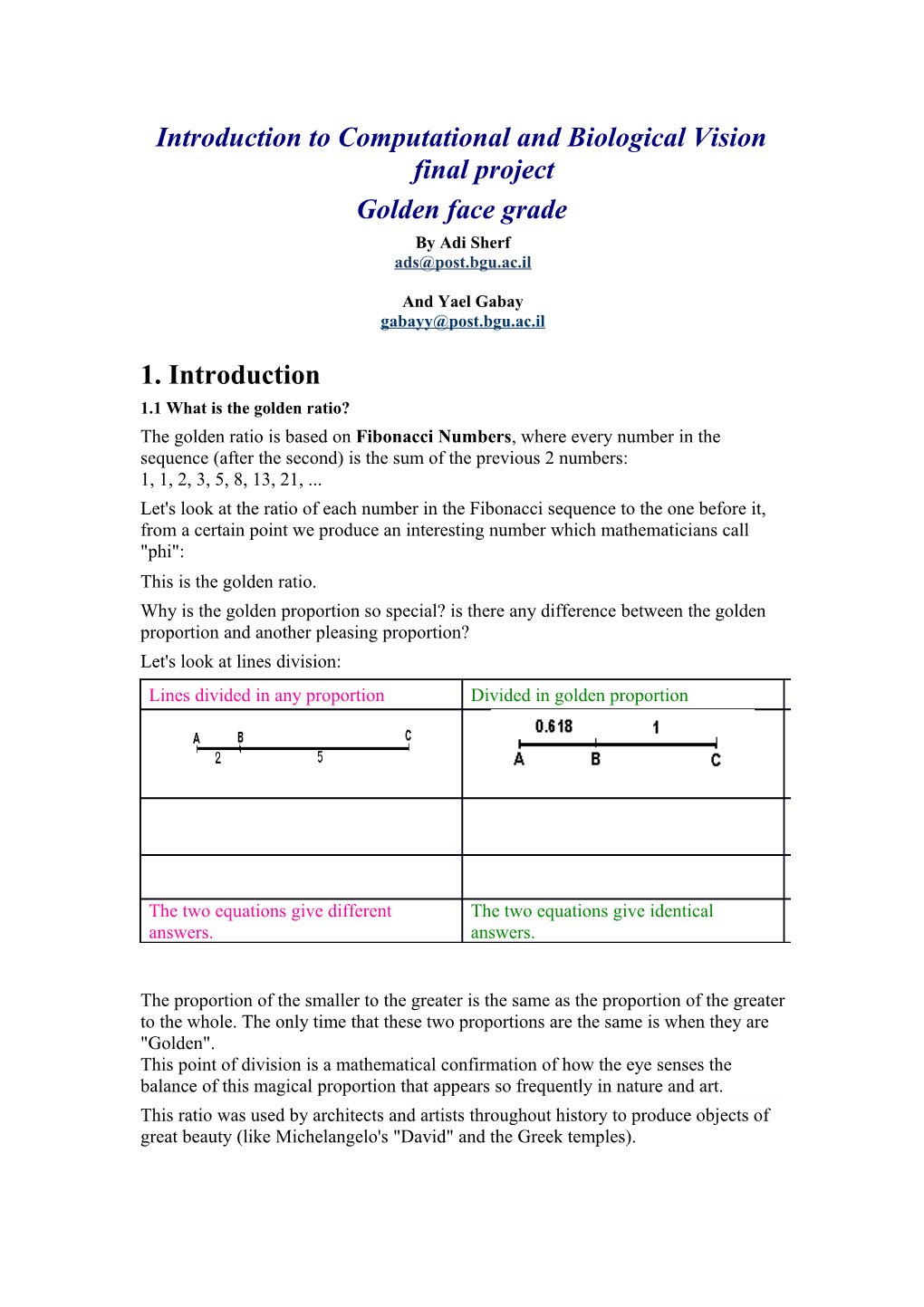 Introduction to Computational and Biological Vision Final Project