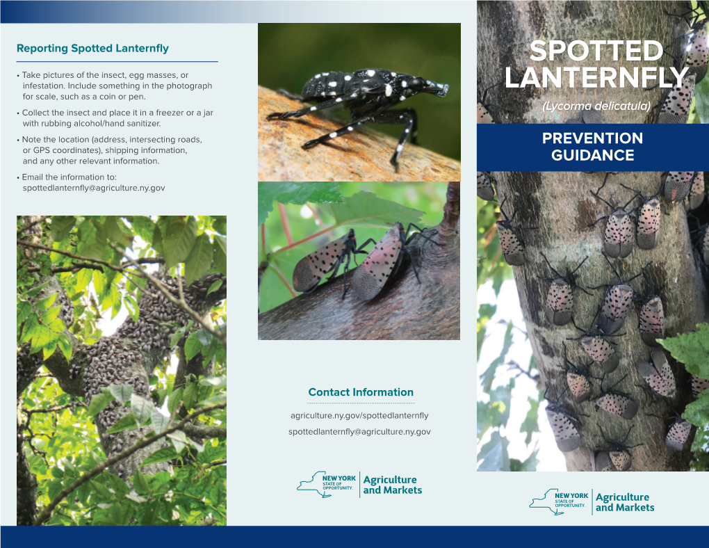 Spotted Lanternfly SPOTTED • Take Pictures of the Insect, Egg Masses, Or Infestation