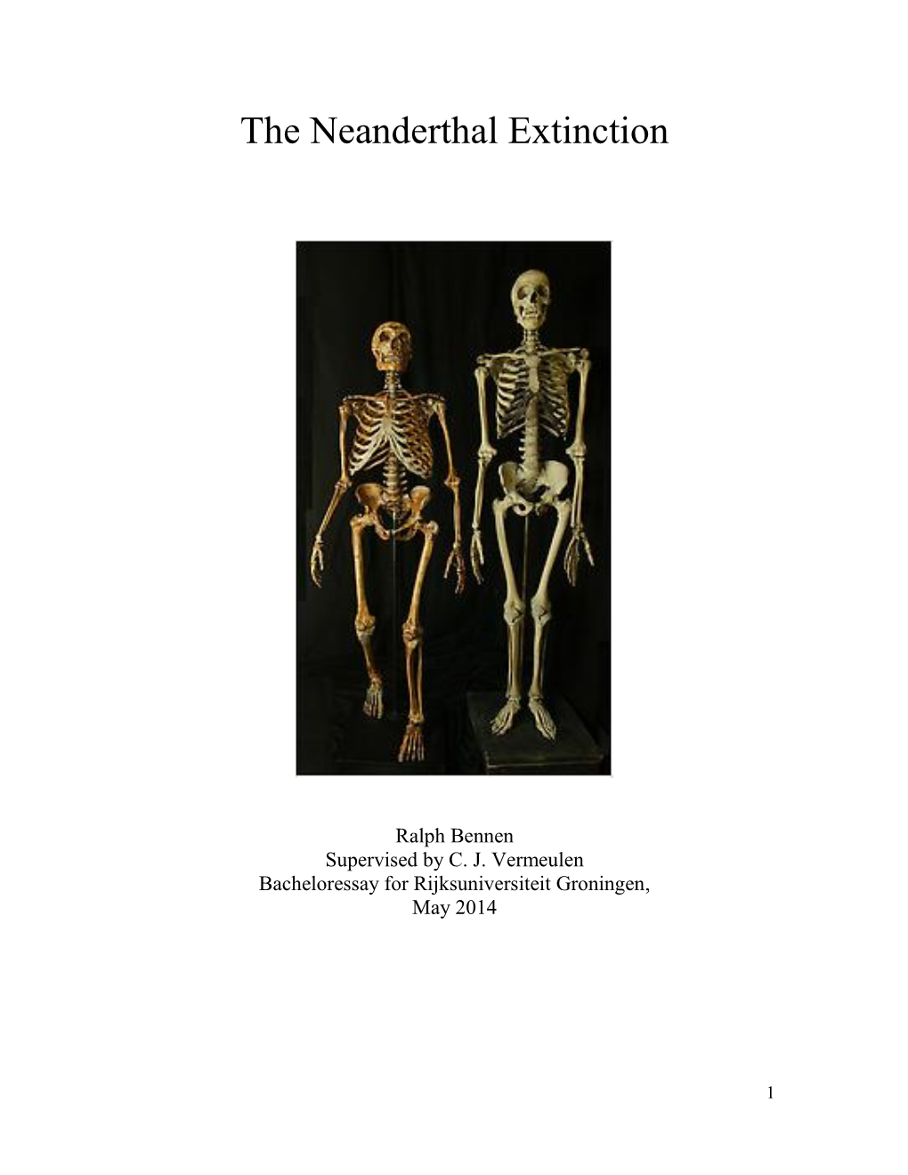 The Neanderthal Extinction