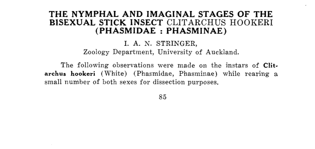 The Nymphal and Imaginal Stages of the Bisexual Stick Insect Clitarchus Hooker1 (Phasmidae : Phasminae) I