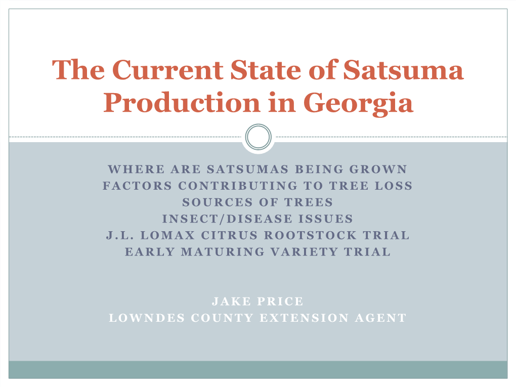 Satsuma Industry in Georgia