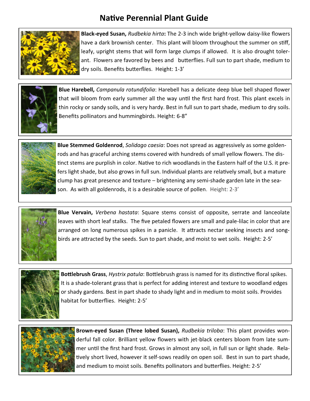 Native Perennial Plant Guide