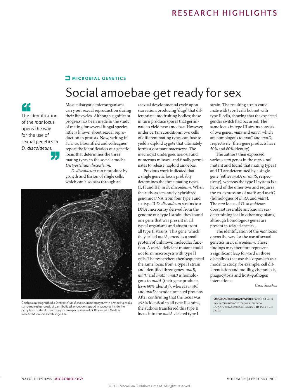 Microbial Genetics: Social Amoebae Get Ready For