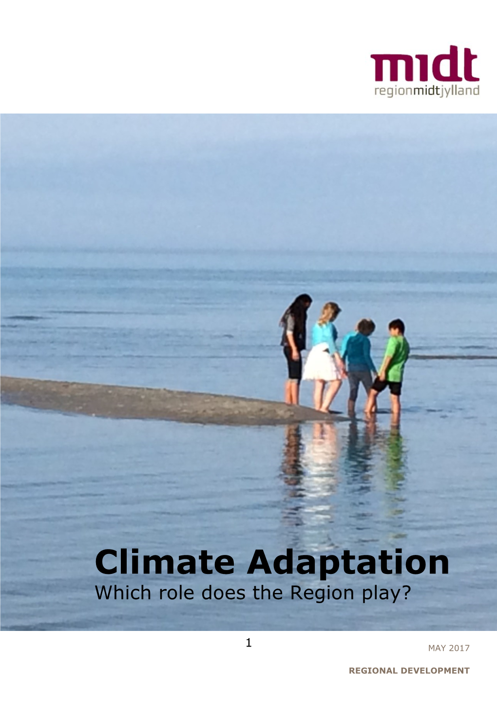 Climate Adaptation Which Role Does the Region Play?