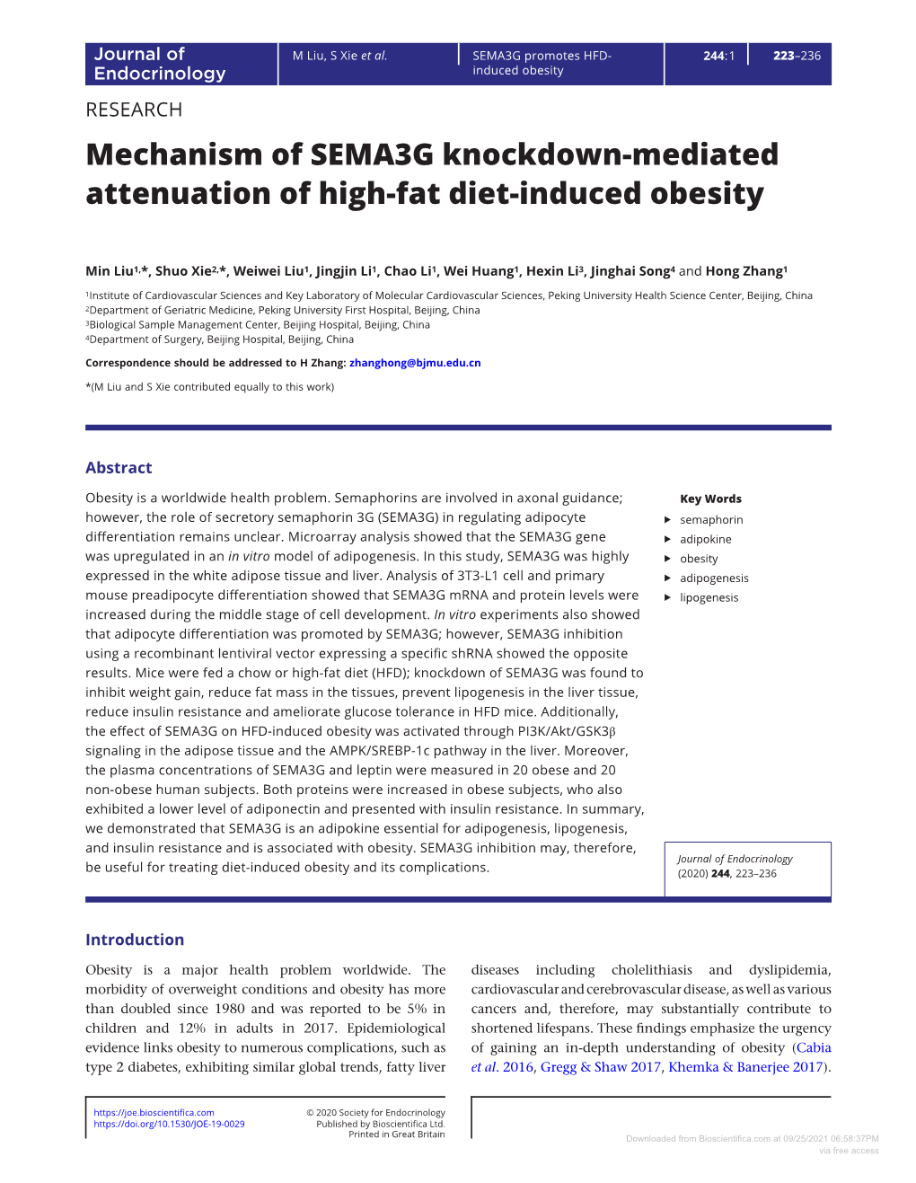 Mechanism of SEMA3G Knockdown-Mediated Attenuation of High-Fat Diet-Induced Obesity