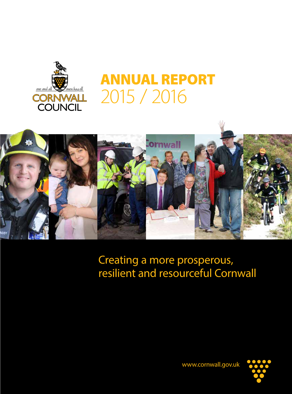 Annual Report 2015 / 2016