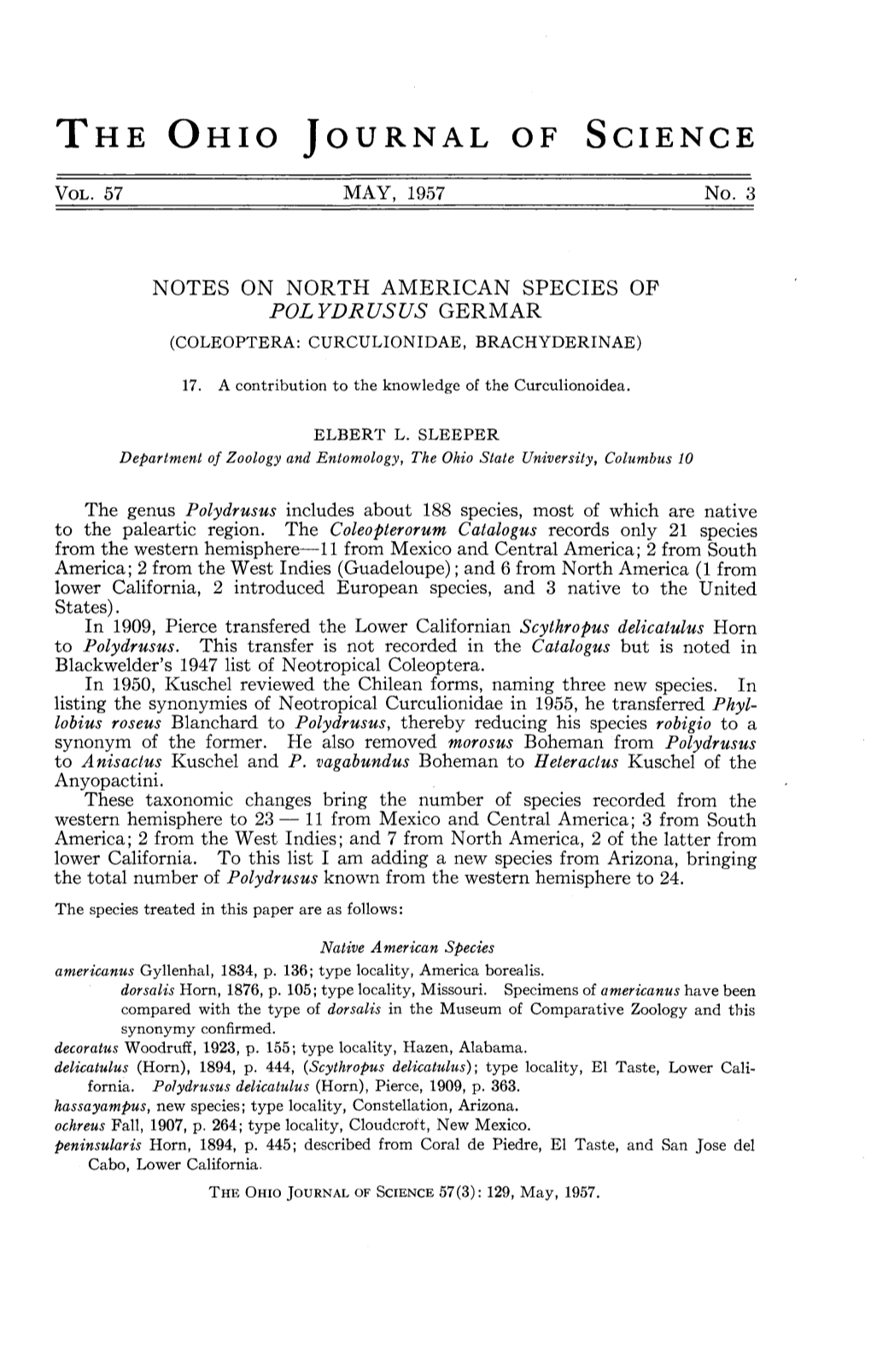 Notes on North American Species of Polydrusus Germar (Coleoptera: Curculionidae, Brachyderinae)