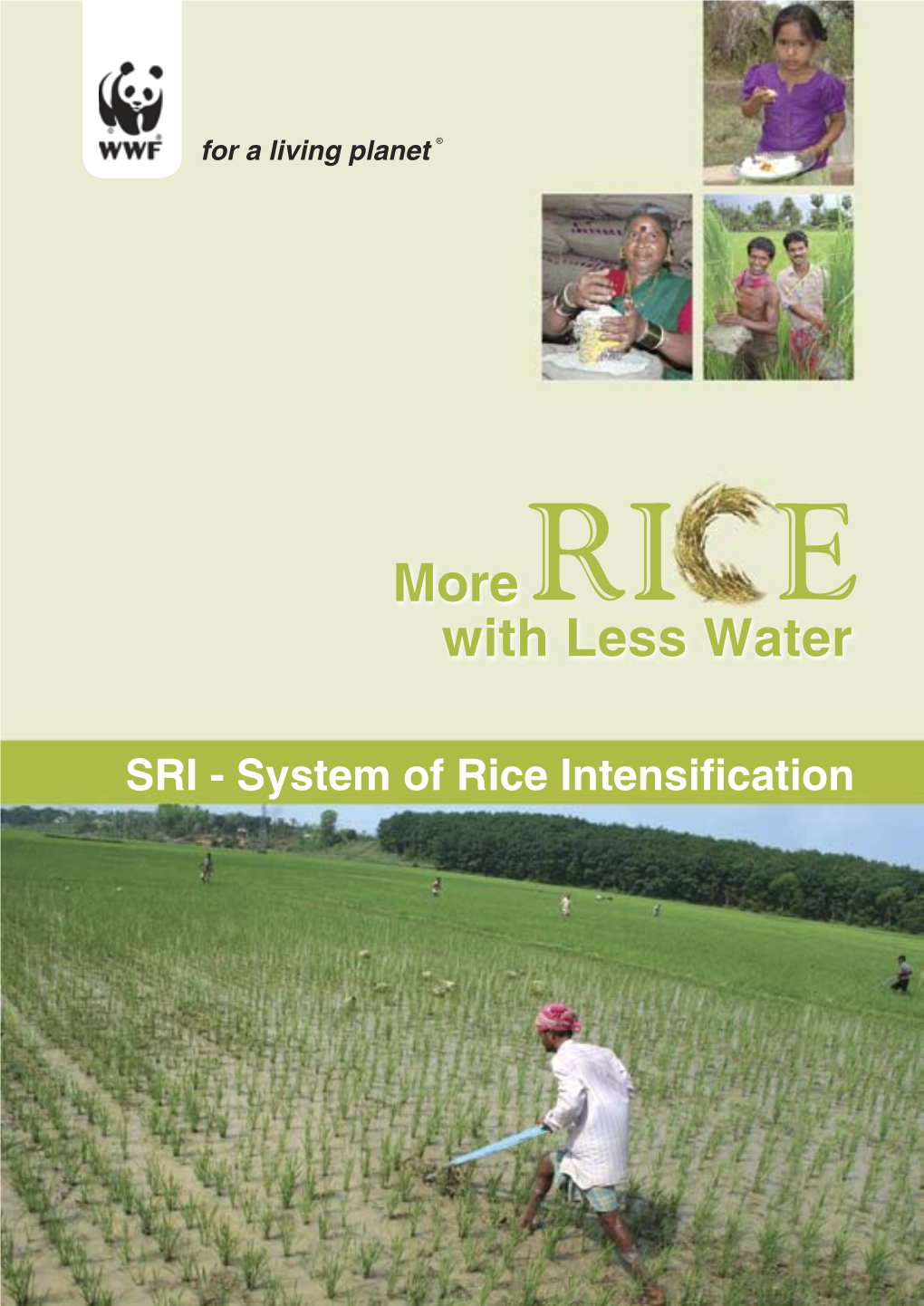 Wwf Rice Report 2007.Pdf