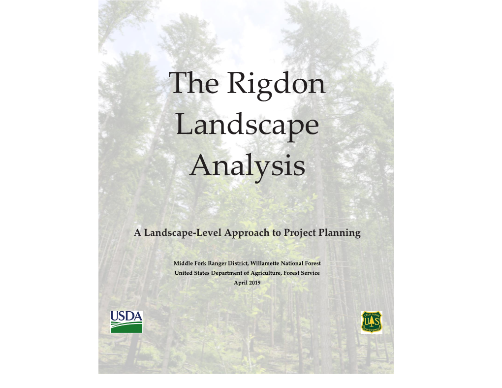 The Rigdon Landscape Analysis