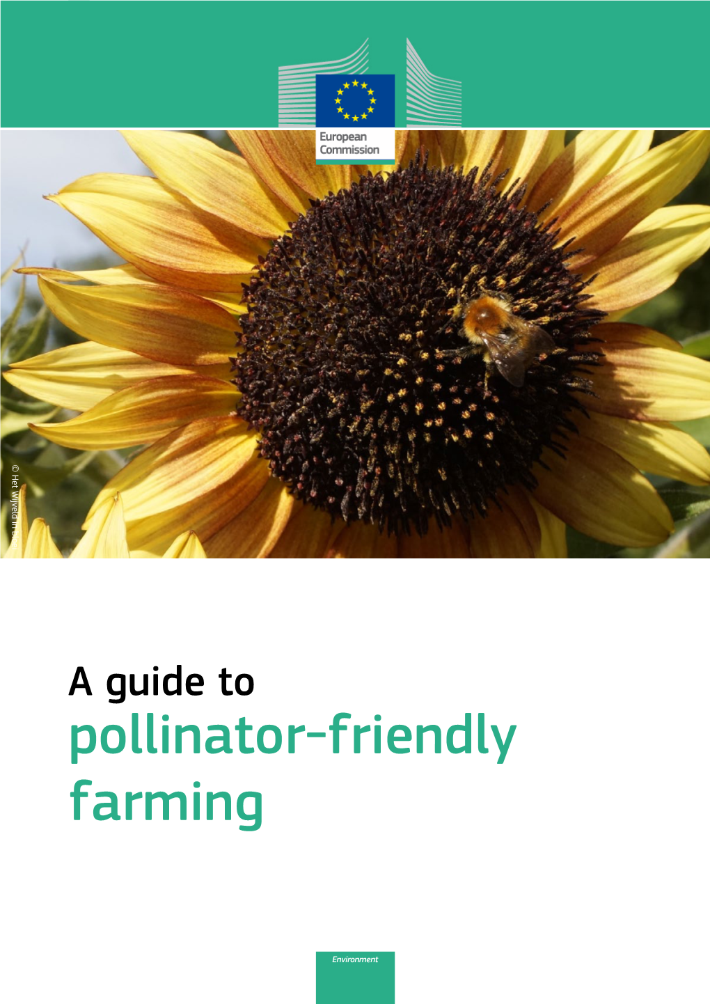 POLLINATOR-FRIENDLY FARMING © Het Wijveld in Bloei