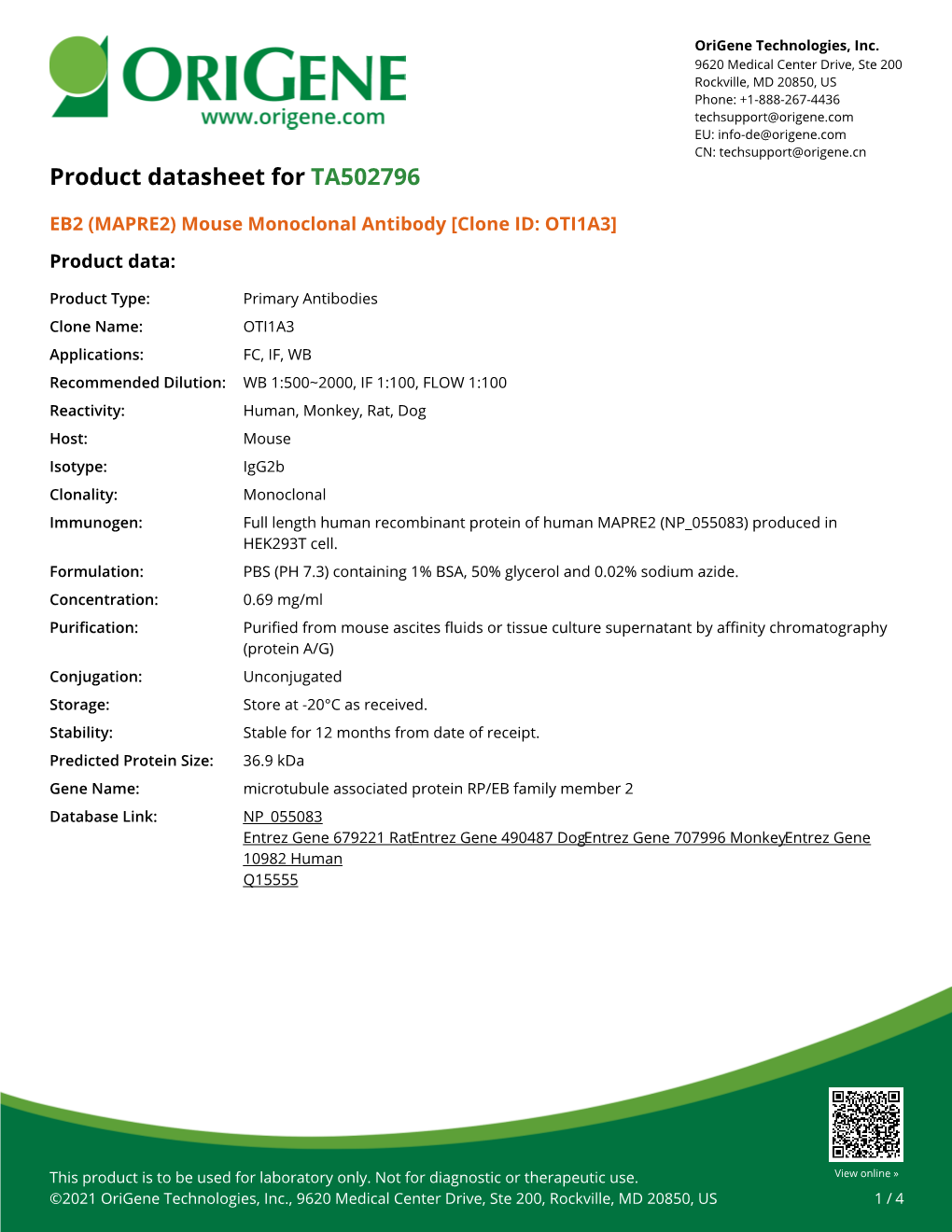 EB2 (MAPRE2) Mouse Monoclonal Antibody [Clone ID: OTI1A3] – TA502796 | Origene