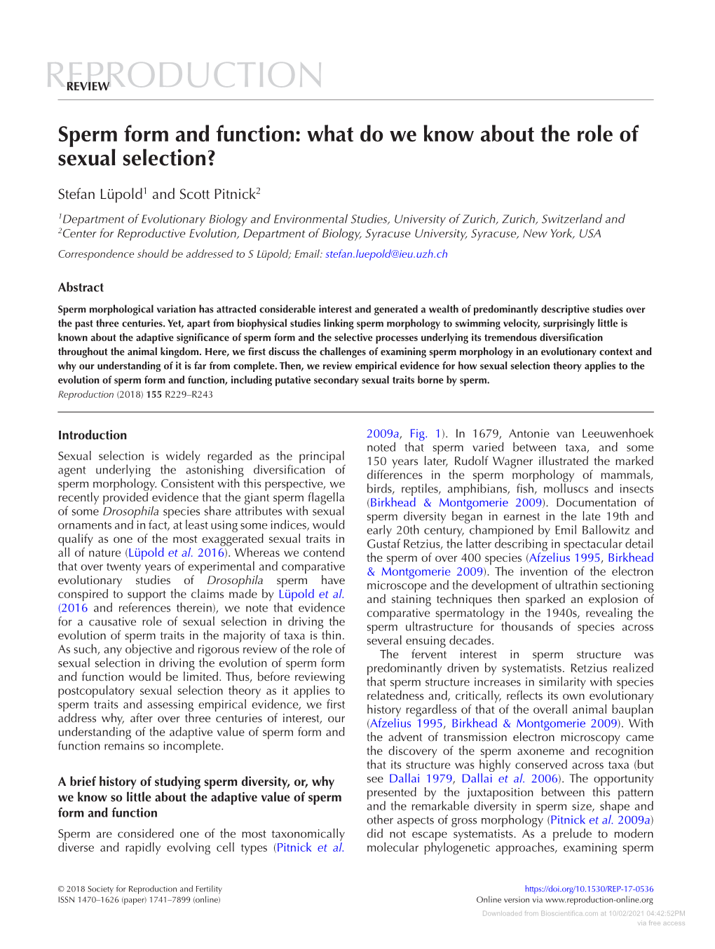 Sperm Form and Function: What Do We Know About the Role of Sexual Selection?