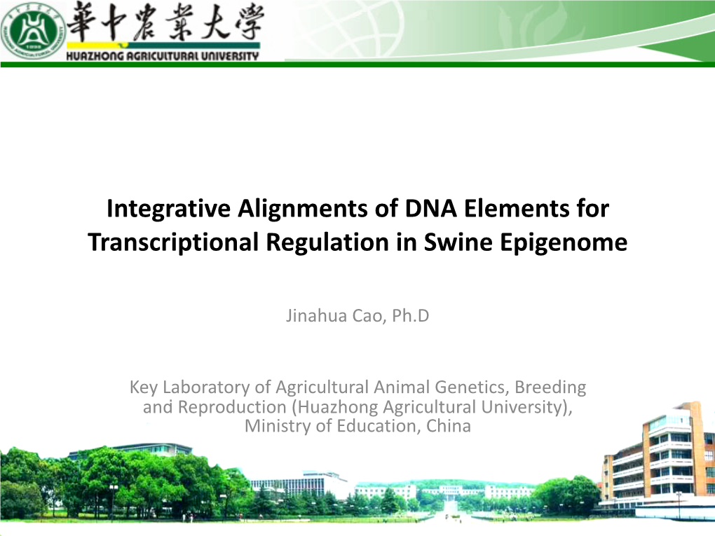Integrative Alignments of DNA Elements for Transcriptional Regulation in Swine Epigenome