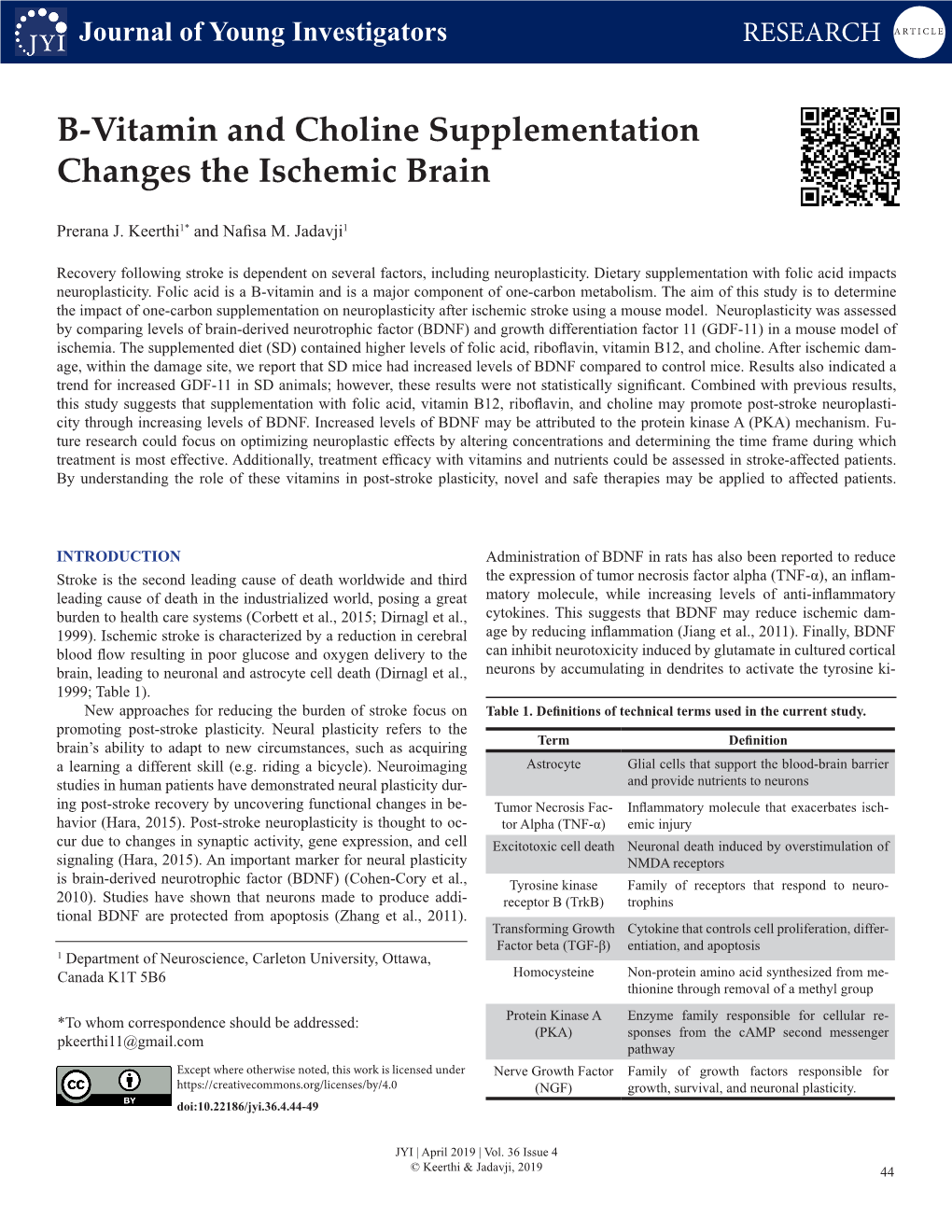 B-Vitamin and Choline Supplementation Changes the Ischemic Brain