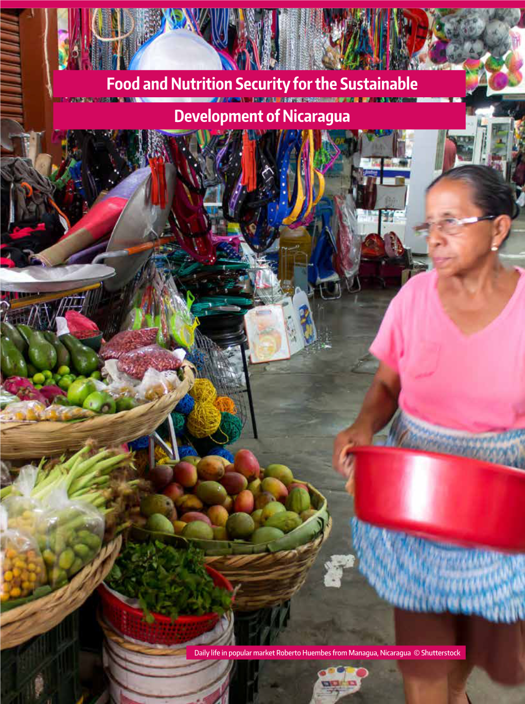 Food and Nutrition Security for the Sustainable Development of Nicaragua
