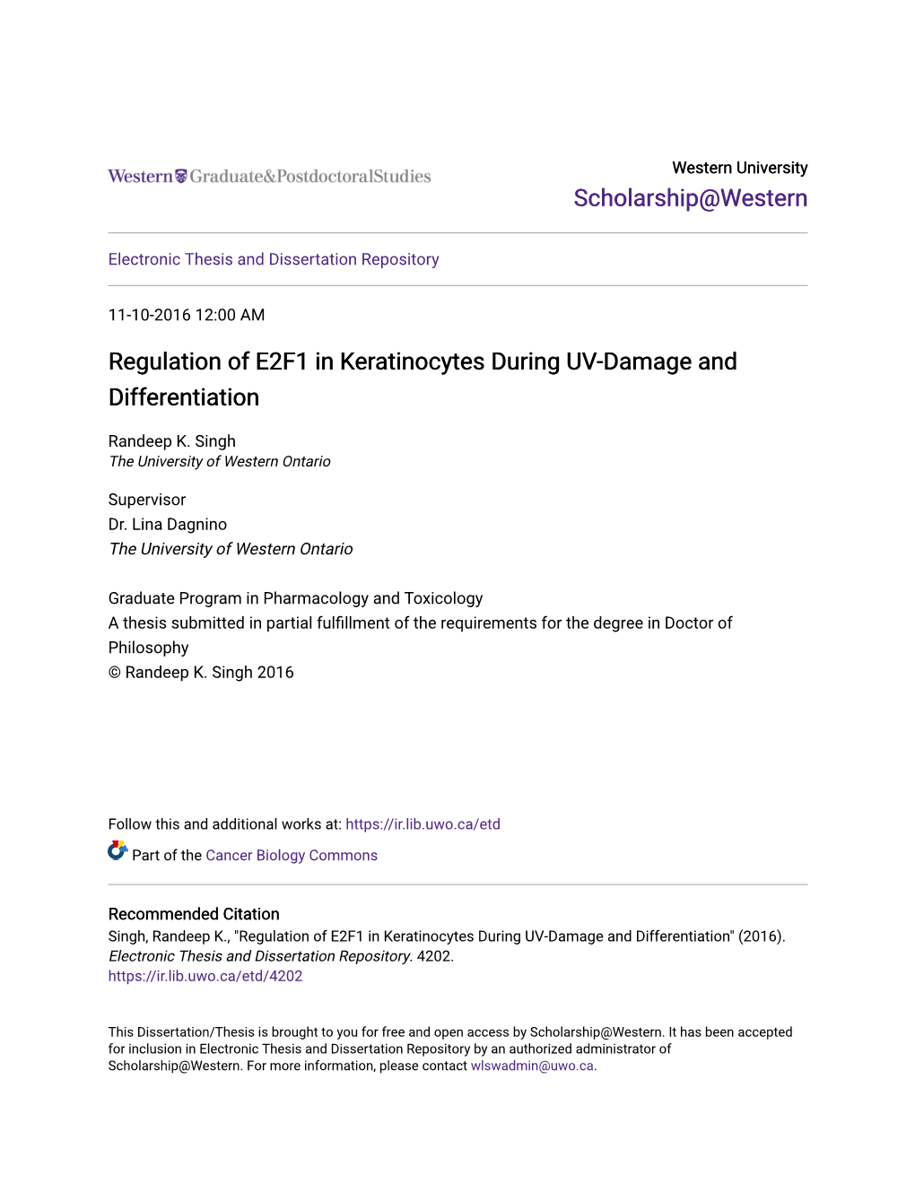 Regulation of E2F1 in Keratinocytes During UV-Damage and Differentiation