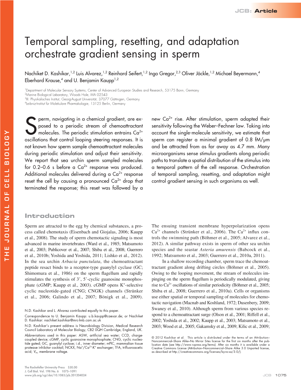 Temporal Sampling, Resetting, and Adaptation Orchestrate Gradient Sensing in Sperm