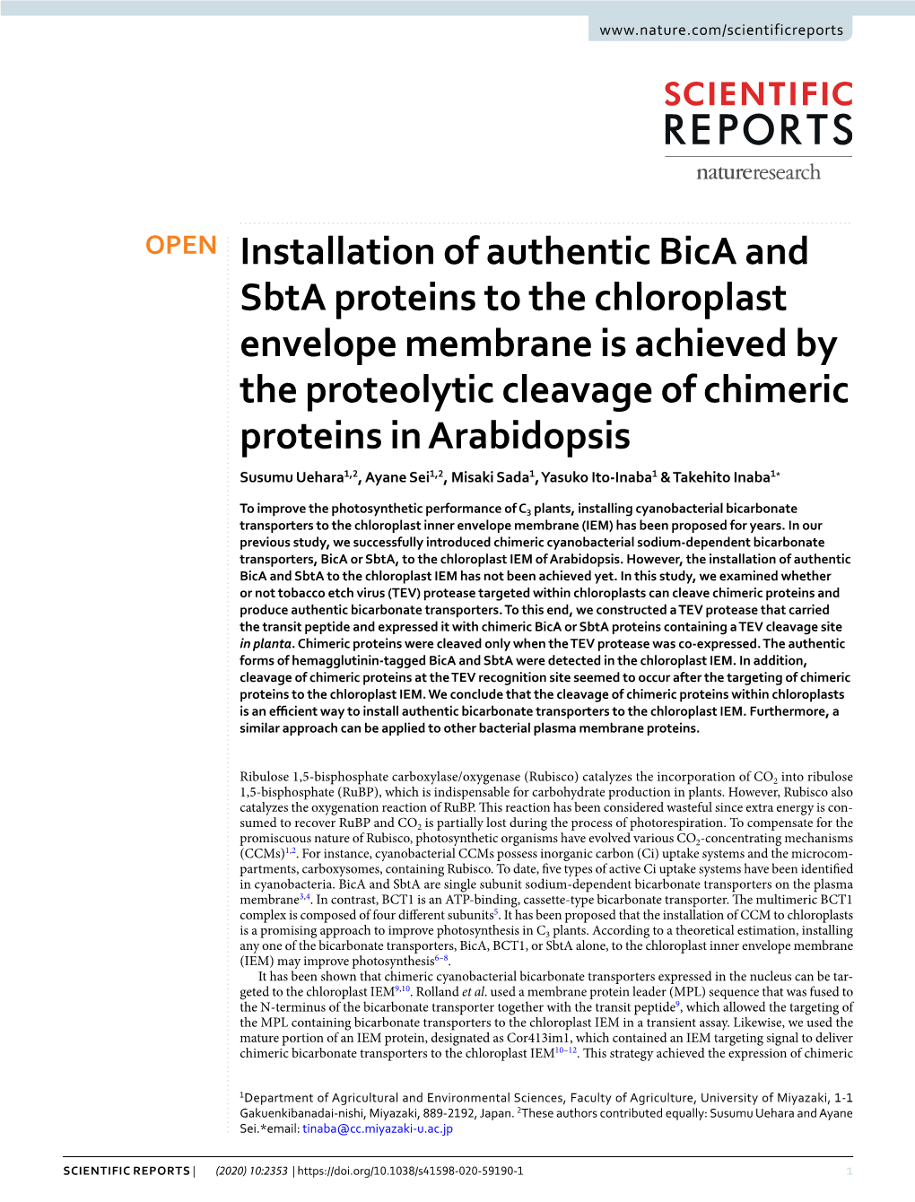 Installation of Authentic Bica and Sbta Proteins to the Chloroplast Envelope