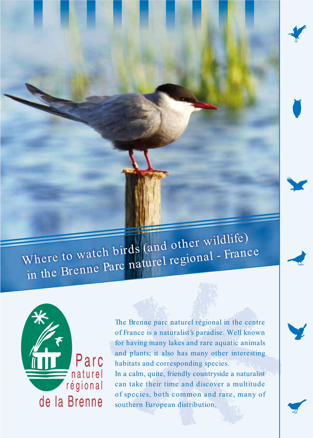 Where to Watch Birds (And Other Wildlife) in the Brenne Parc Naturel Regional