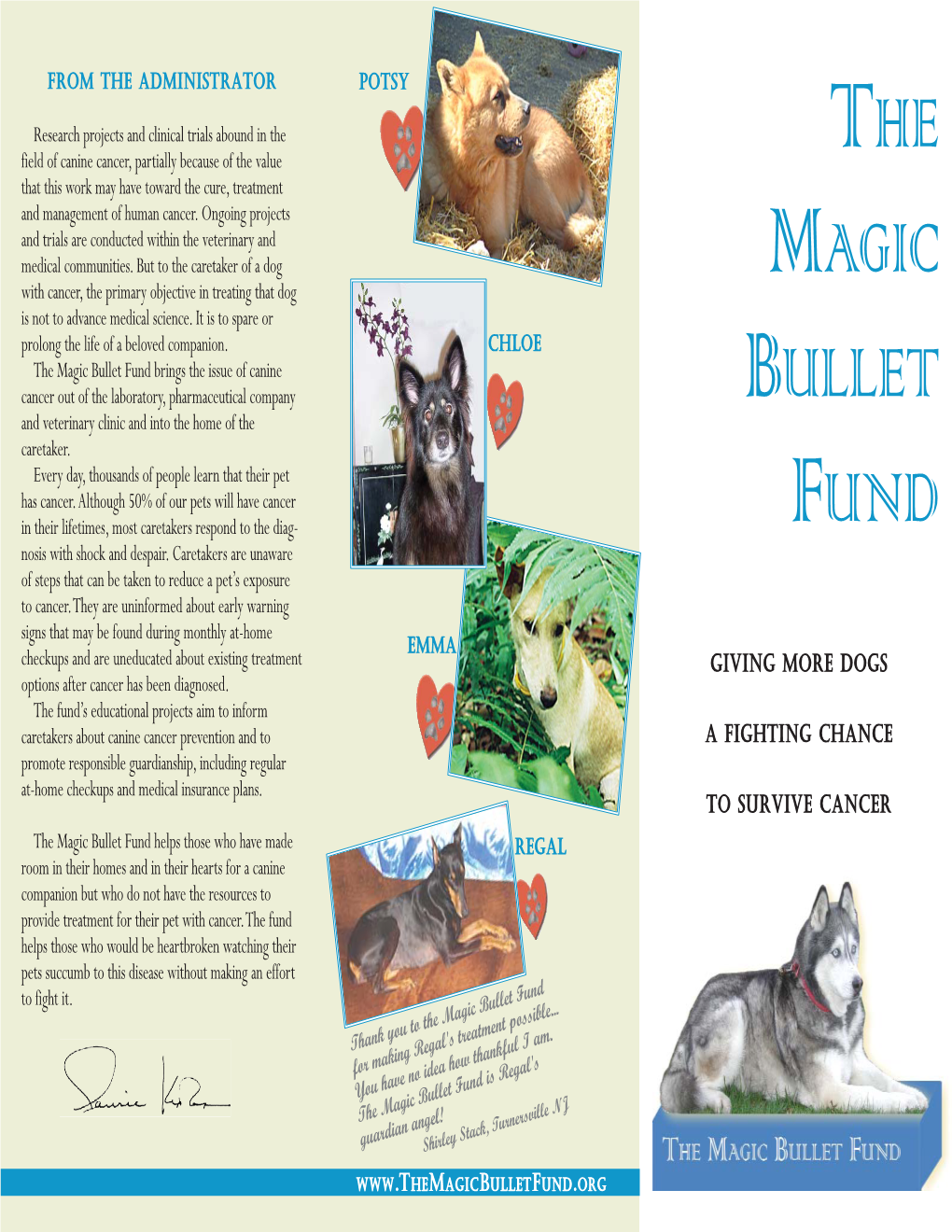 The Magic Bullet Fund Brings the Issue of Canine Cancer out of the Laboratory, Pharmaceutical Company ULLET and Veterinary Clinic and Into the Home of the B Caretaker
