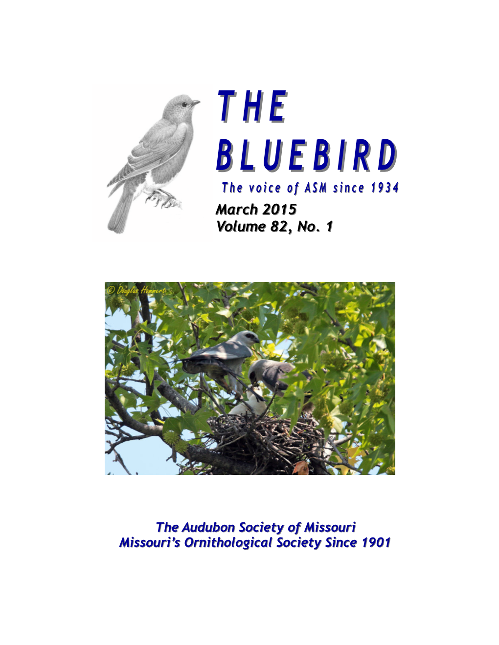 The Bluebird the Bluebird