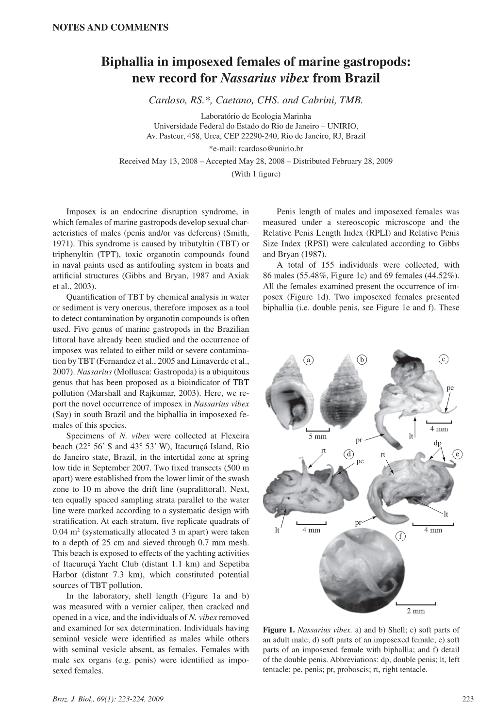 Biphallia in Imposexed Females of Marine Gastropods: New Record for Nassarius Vibex from Brazil Cardoso, RS.*, Caetano, CHS