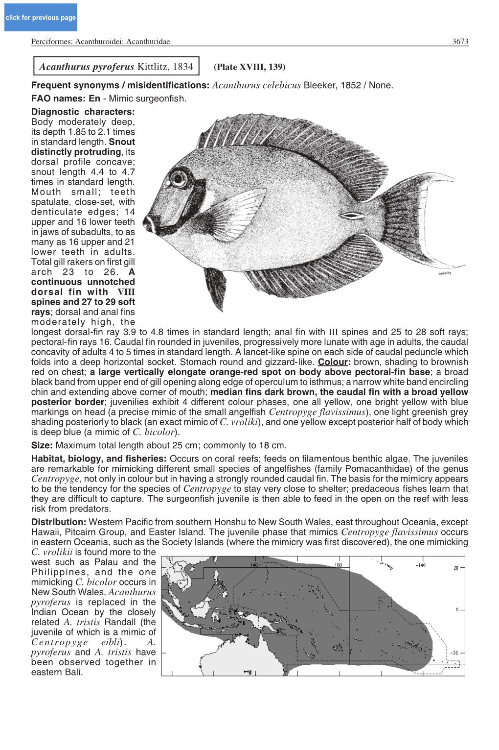 Acanthurus Pyroferus Kittlitz, 1834 Mimicking C. Bicolor Occurs In