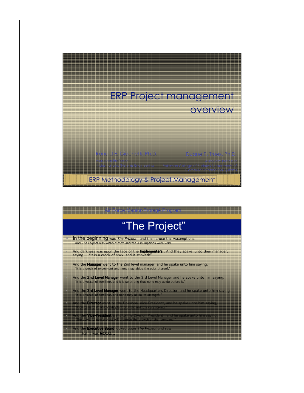 ERP Project Management Overview