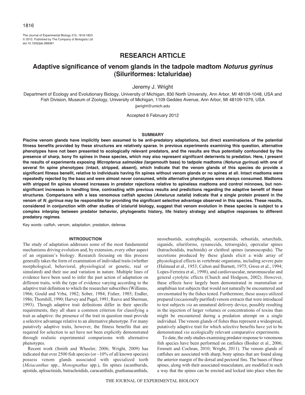 RESEARCH ARTICLE Adaptive Significance of Venom Glands in the Tadpole Madtom Noturus Gyrinus (Siluriformes: Ictaluridae)