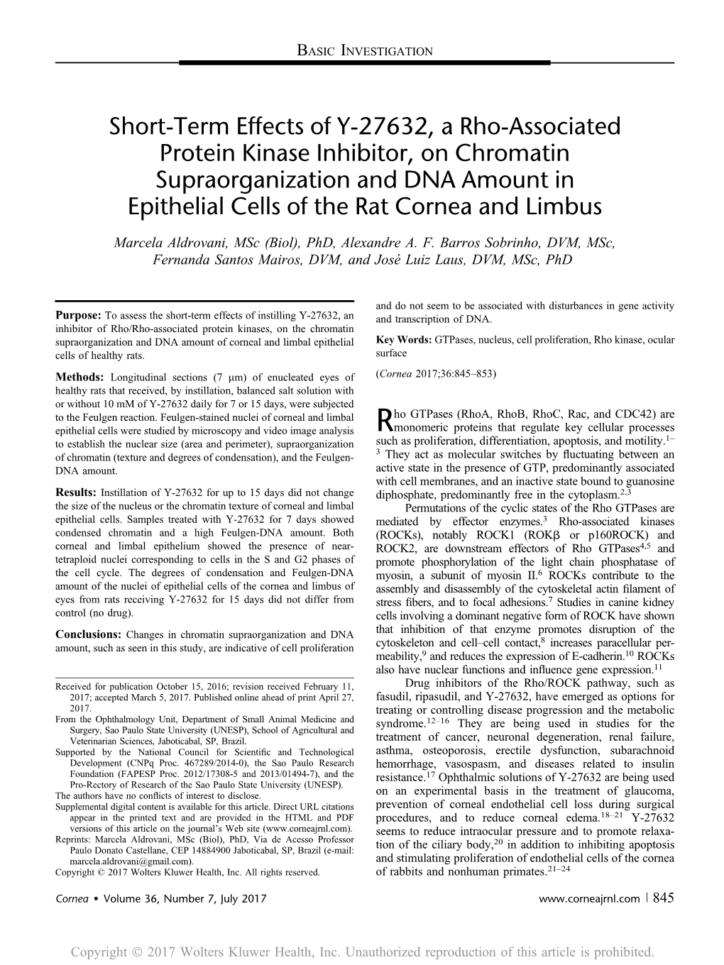 Short-Term Effects of Y-27632, a Rho-Associated Protein Kinase