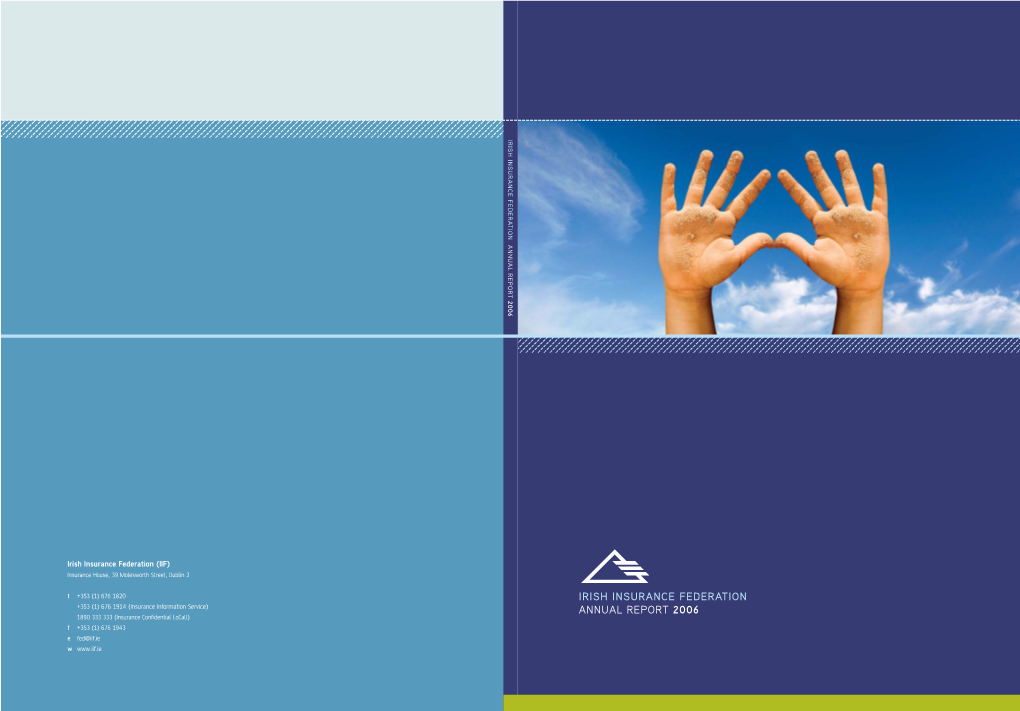 IIF Annual Report.Pdf