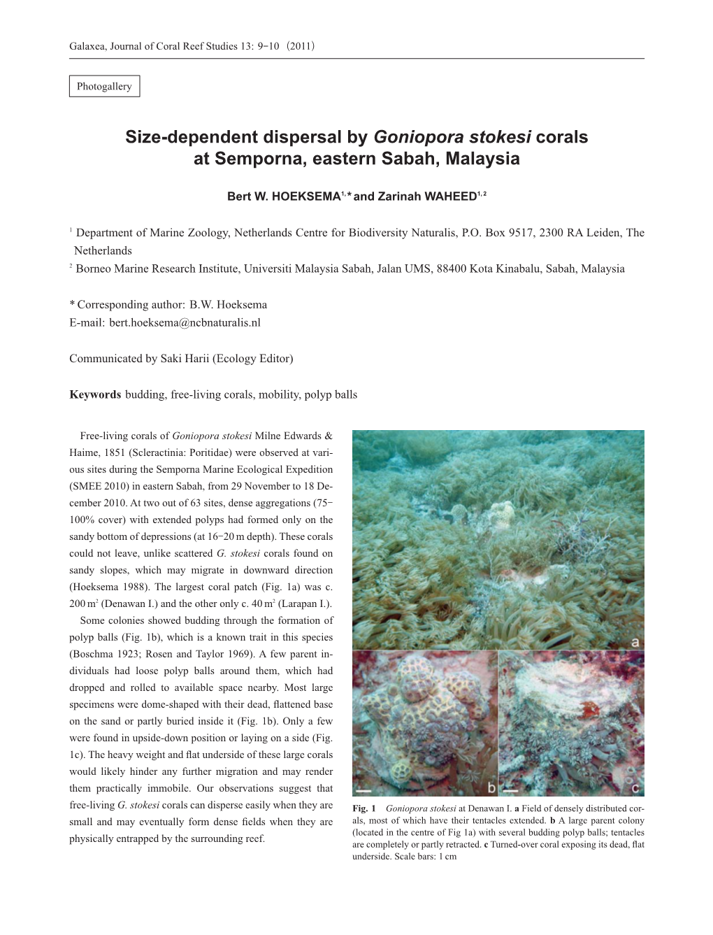 Size-Dependent Dispersal by Goniopora Stokesi Corals at Semporna, Eastern Sabah, Malaysia