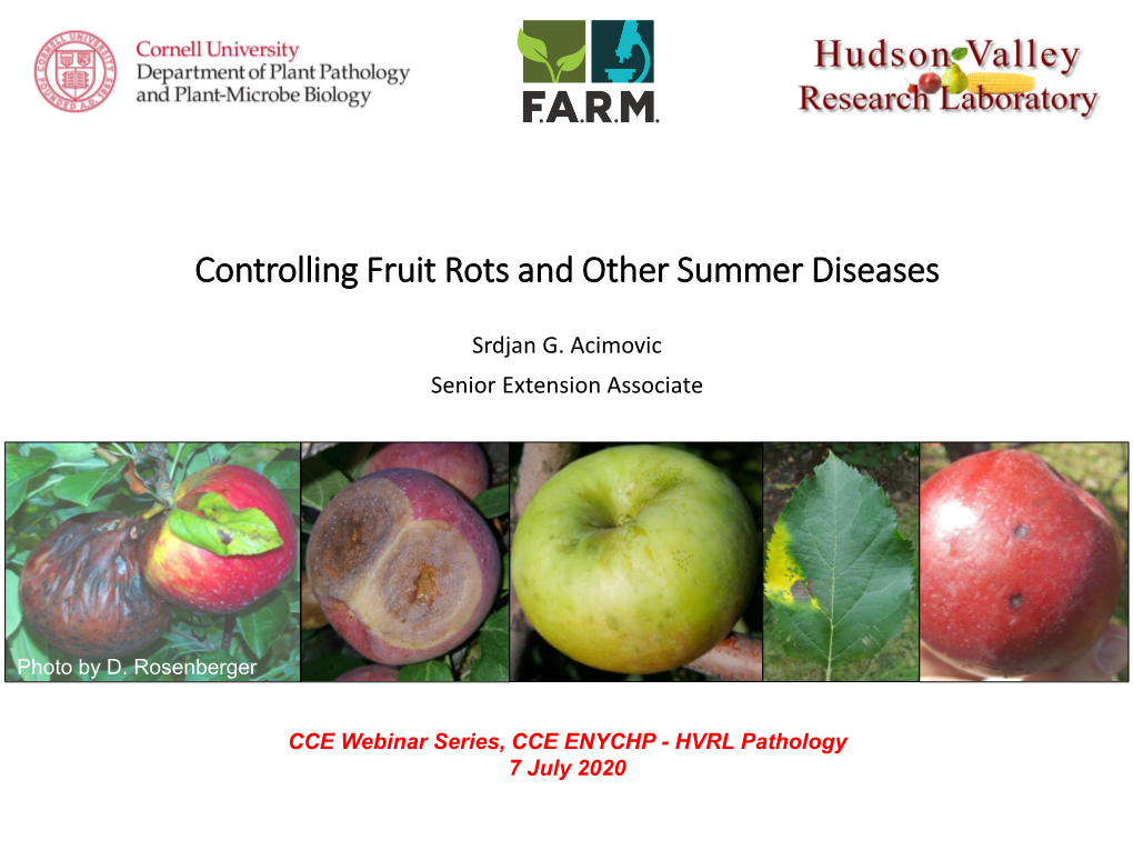 Controlling Fruit Rots and Other Summer Diseases