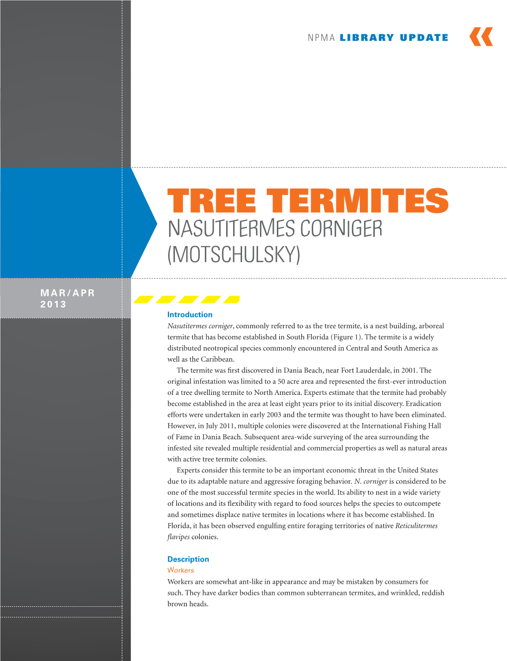 Tree Termites Nasutitermes Corniger (Motschulsky)