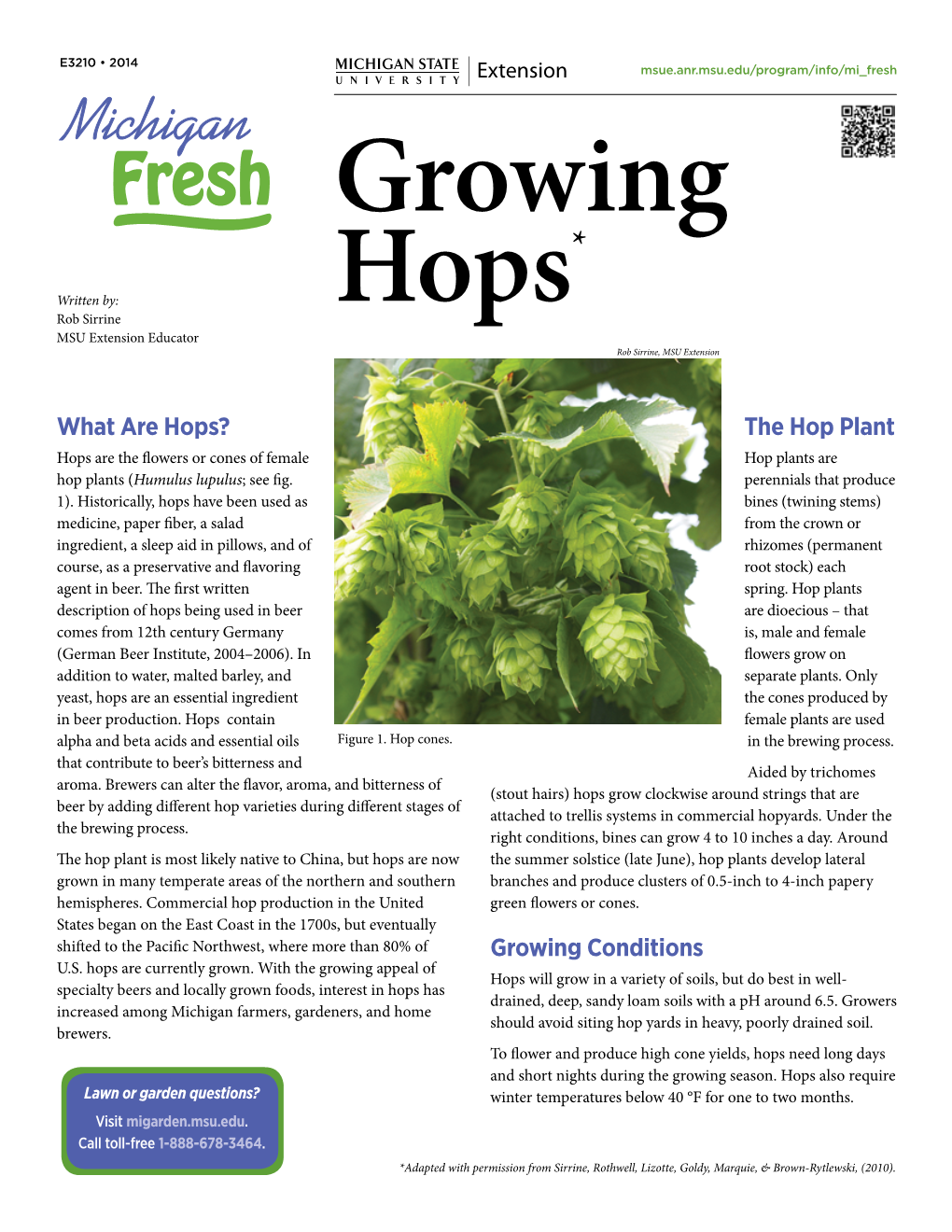 Growing Hops