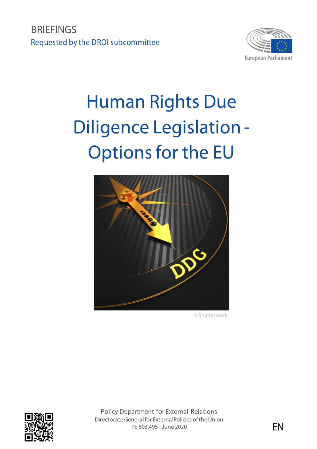 Human Rights Due Diligence Legislation - Options for the EU