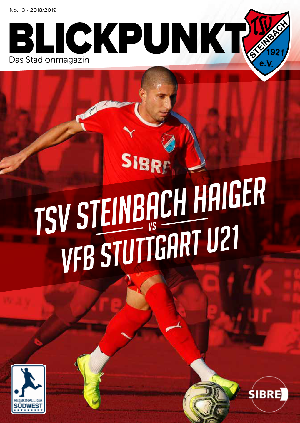 Tsv Steinbach Haiger Tsg Balingen Vs