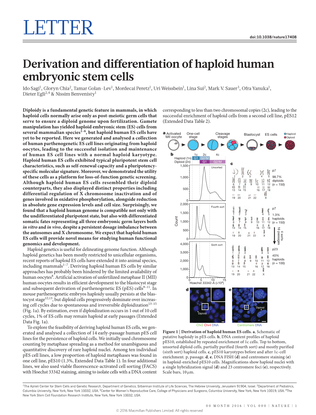 Derivation and Differentiation of Haploid Human Embryonic Stem Cells Ido Sagi1, Gloryn Chia2, Tamar Golan-Lev1, Mordecai Peretz1, Uri Weissbein1, Lina Sui2, Mark V