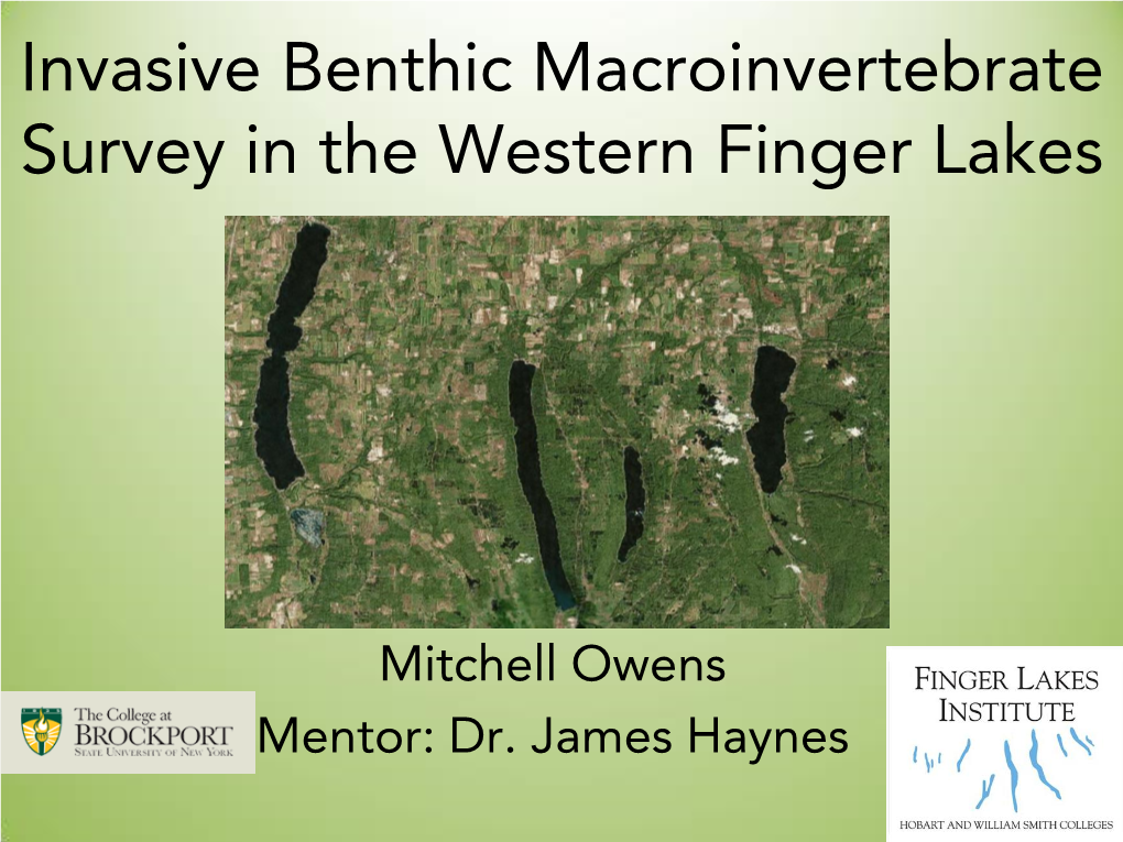 Invasive Benthic Macroinvertebrate Survey in the Western Finger Lakes