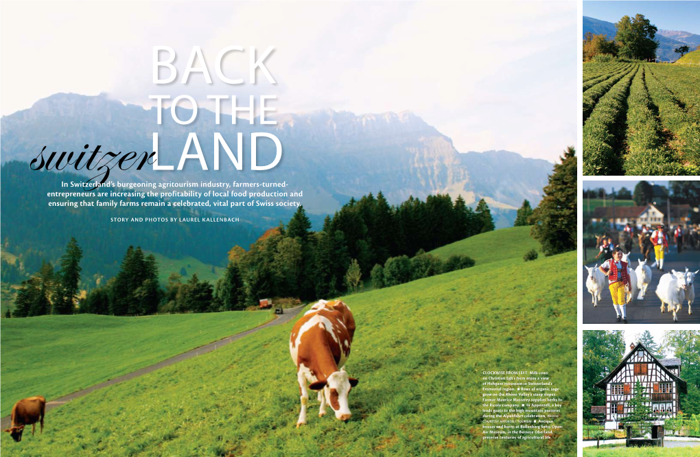 In Switzerland's Burgeoning Agritourism