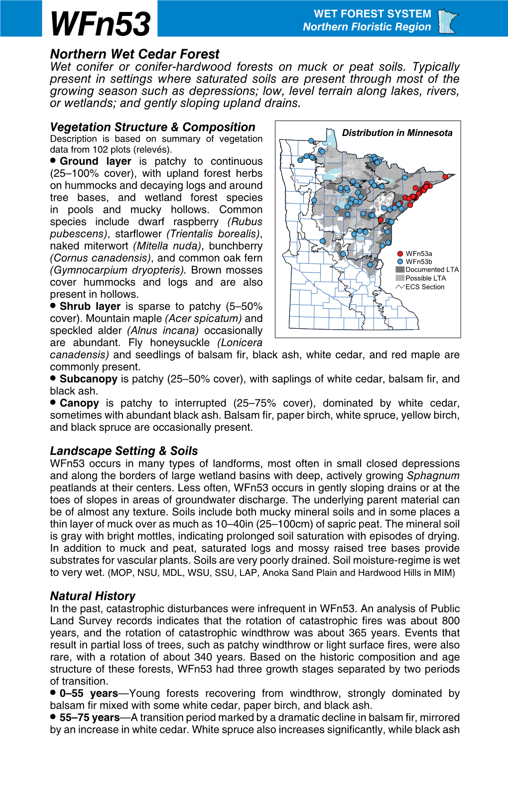 Wfn53 Northern Wet Cedar Forest Factsheet