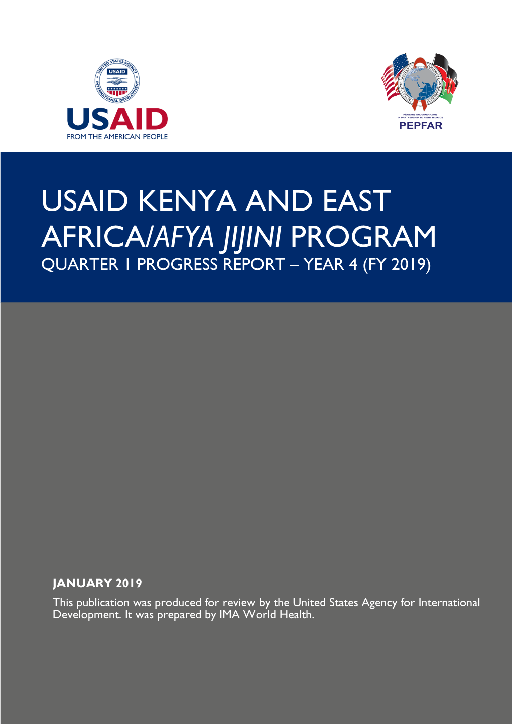 Usaid Kenya and East Africa/Afya Jijini Program Fy2019 Q1 Progress Report