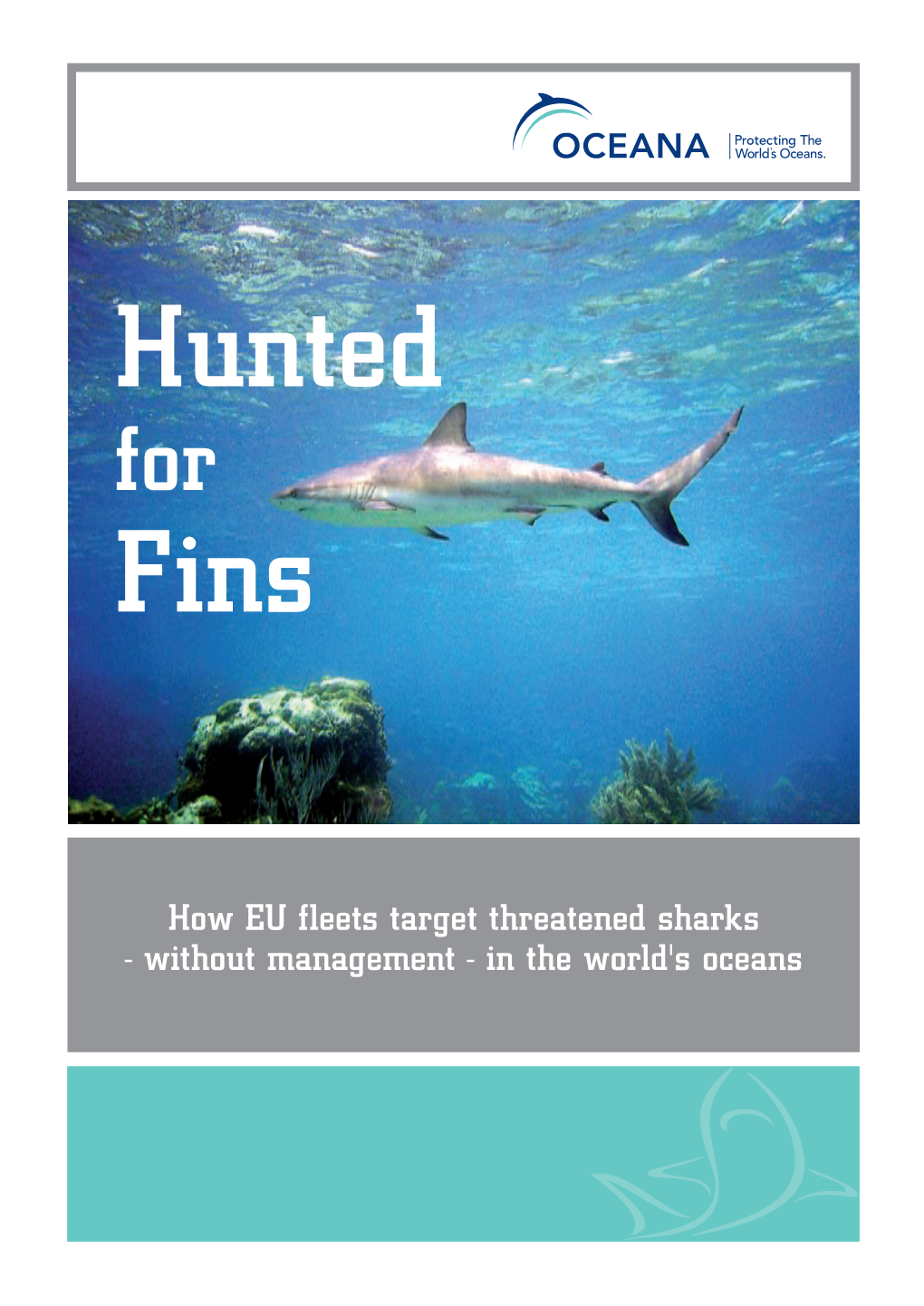 Hunted for Fins