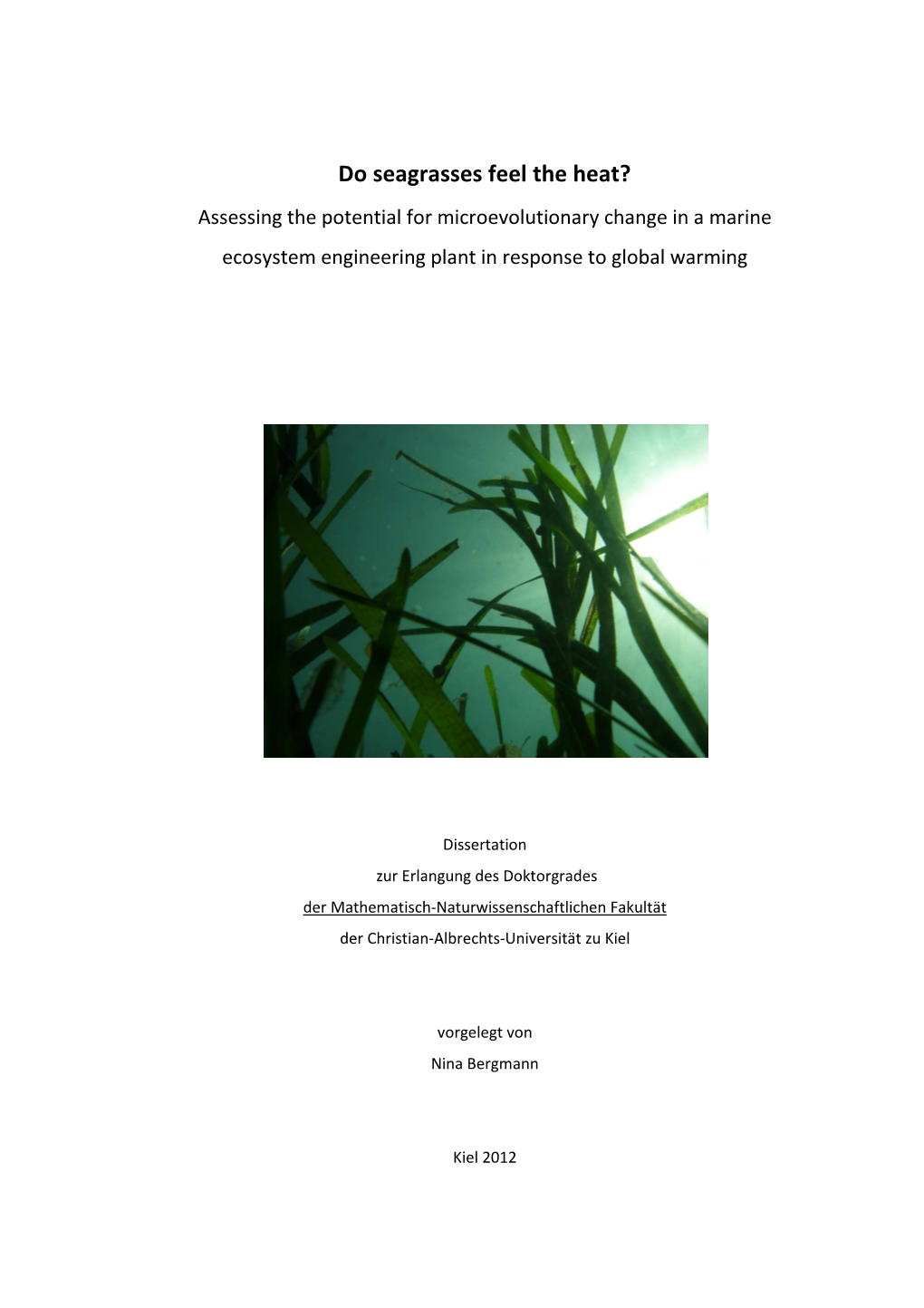 Do Seagrasses Feel the Heat? Assessing the Potential for Microevolutionary Change in a Marine Ecosystem Engineering Plant in Response to Global Warming