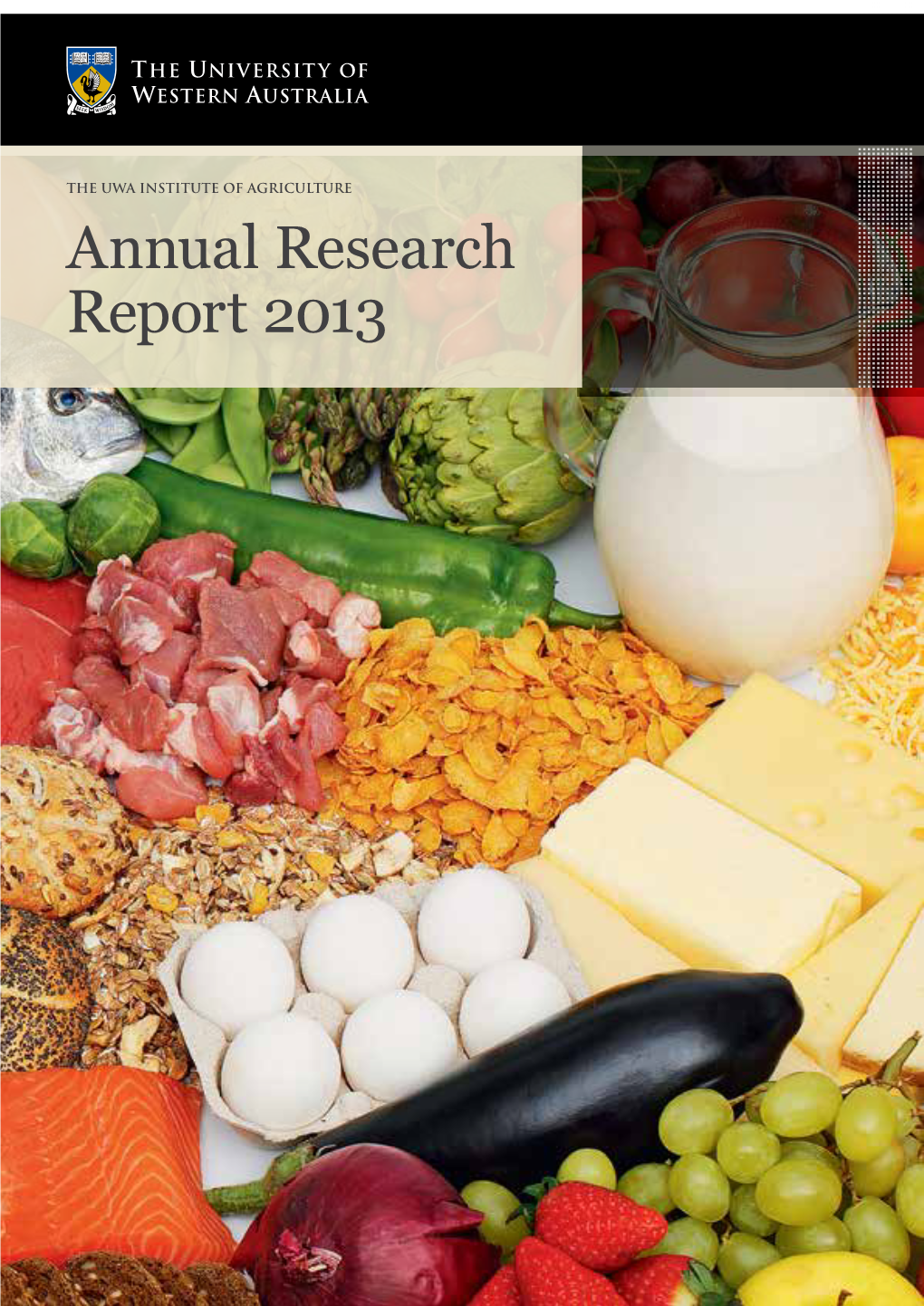 Ioa Annual Research Report 2013