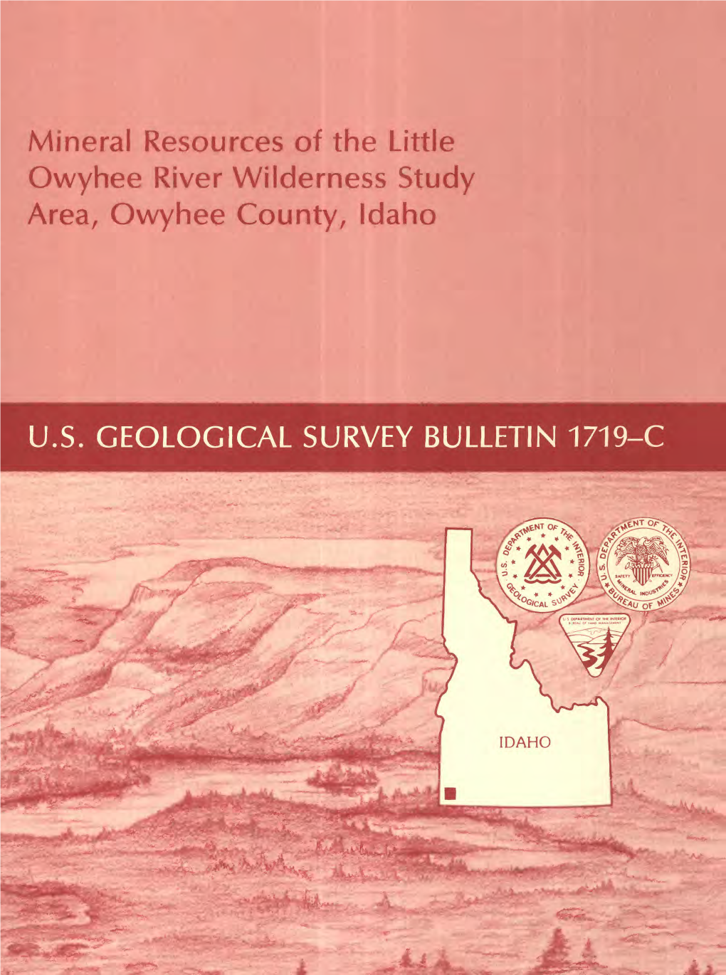 Mineral Resources of the Little Owyhee River Wilderness Study Area, Owyhee County, Idaho