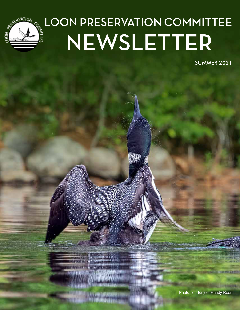 Loon Preservation Committee Newsletter Summer 2021