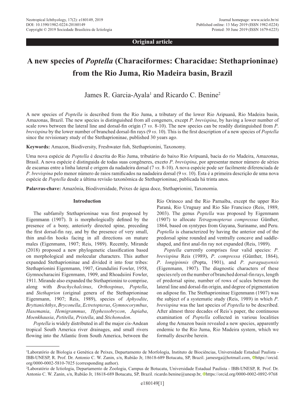 Characiformes: Characidae: Stethaprioninae) from the Rio Juma, Rio Madeira Basin, Brazil