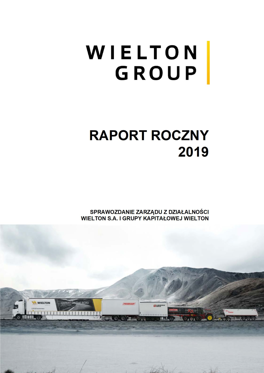 Raport Roczny Wielton 2019FY